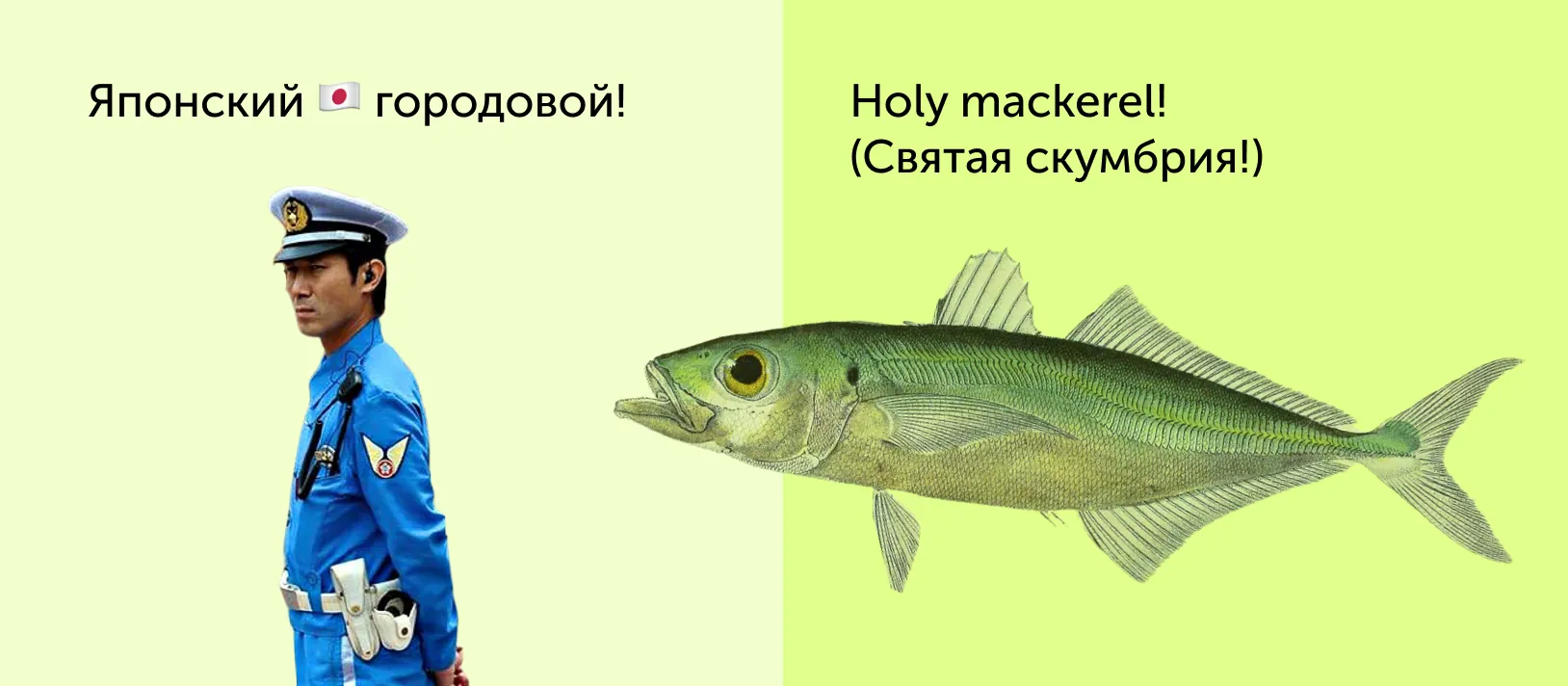title Уходят ли англичане по-английски? Как переводятся идиомы про национальности