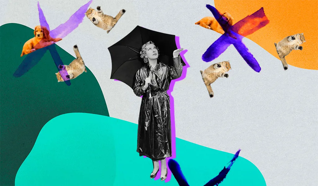 3 интересные английские идиомы о дожде, в числе которых нет «It’s raining cats and dogs»!