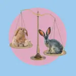 Hare, rabbit и bunny: в чем различия между этими пушистыми созданиями?