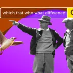 Вопрос: В чем отличие between “which”, “that” и “who”?