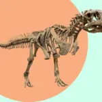 Исторический и историчный: в чем их отличие?