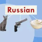 От кошачьих пород до заправки для салатов: 5 английских фраз со словом Russian.