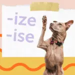 Почему существует различие между суффиксами «-ize» и «-ise» и почему не стоит ими чрезмерно увлекаться.