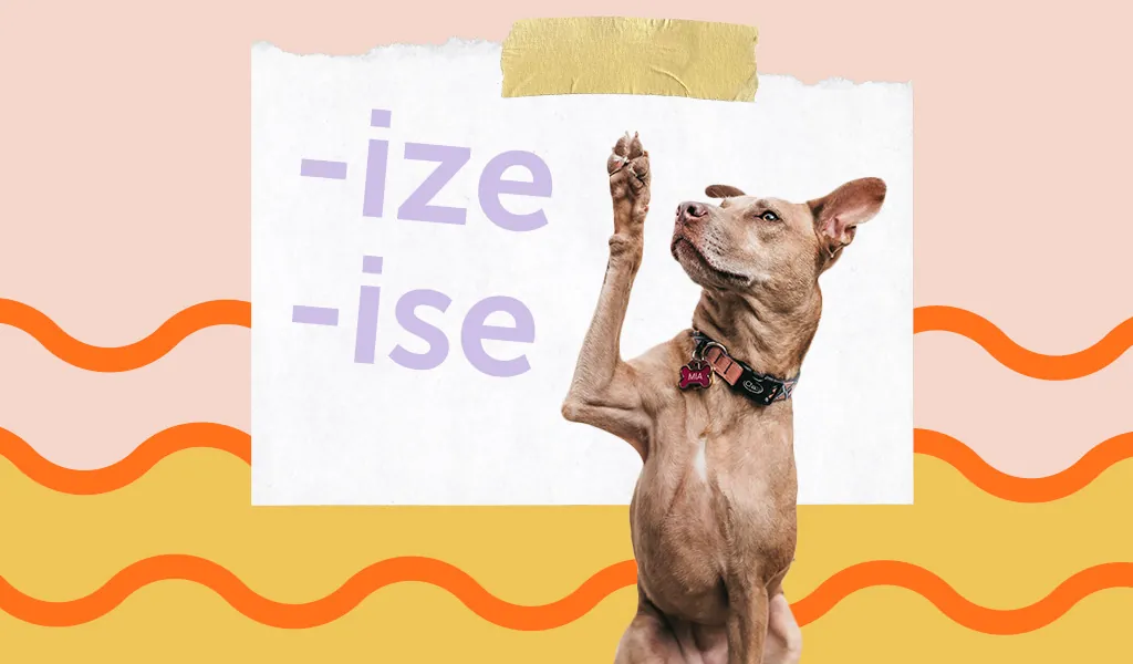 Почему существует различие между суффиксами «-ize» и «-ise» и почему не стоит ими чрезмерно увлекаться.