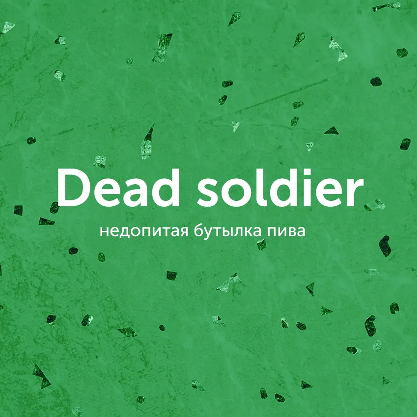 title Сленг дня после празднования Нового года: dead soldier