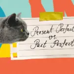 Сравнение Present Perfect и Past Perfect: краткое руководство за 5 минут.
